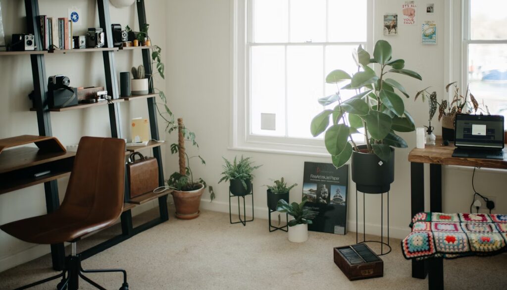 Clean minimalist living room with plants and natural lighting